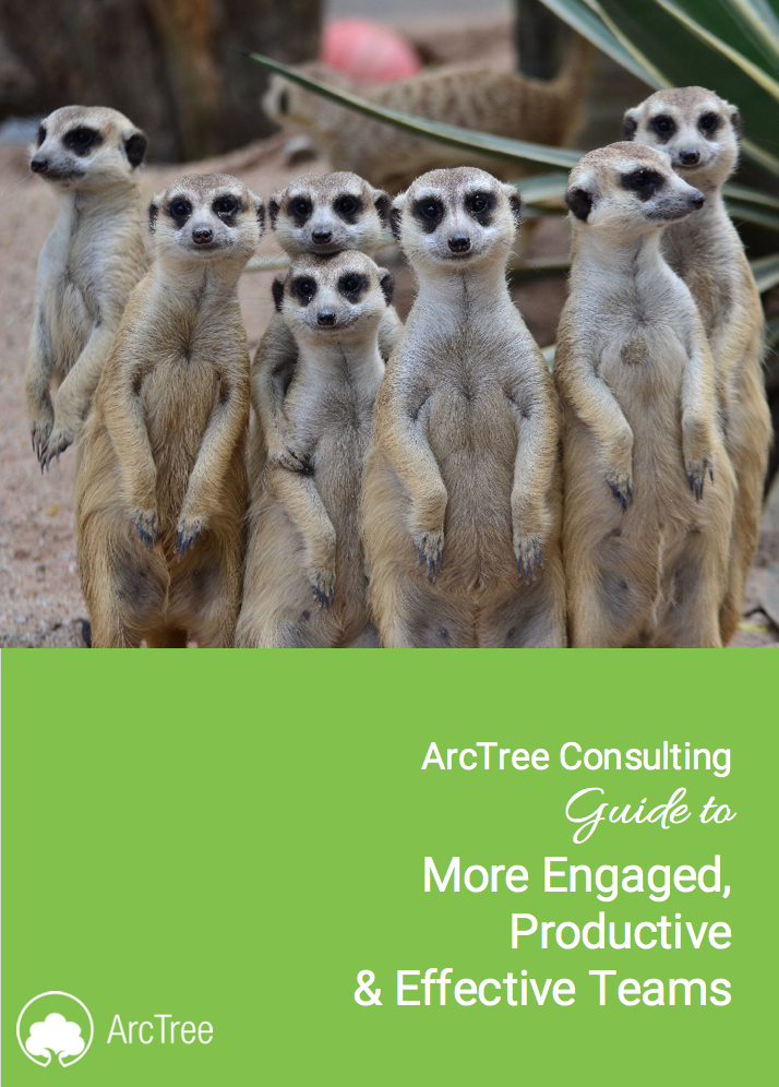 Arctree eBook: Guide to more productive and engaged teams