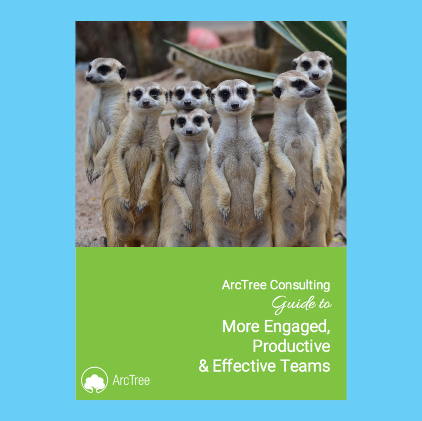 effective teams eBook cover - with a group of meerkats on it!
