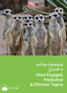 arctree ebook - productive and effective teams